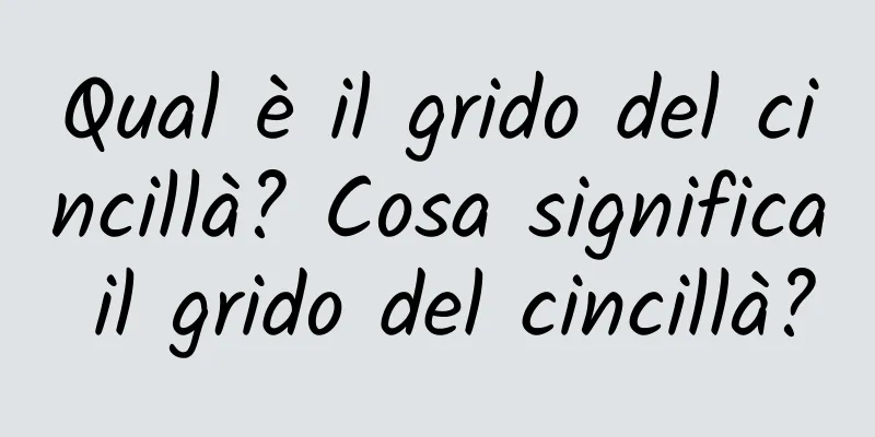Qual è il grido del cincillà? Cosa significa il grido del cincillà?