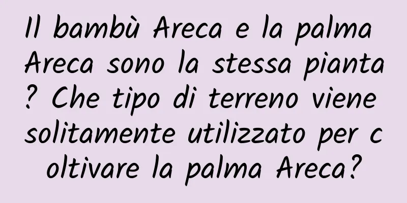 Il bambù Areca e la palma Areca sono la stessa pianta? Che tipo di terreno viene solitamente utilizzato per coltivare la palma Areca?