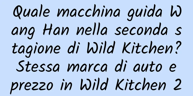 Quale macchina guida Wang Han nella seconda stagione di Wild Kitchen? Stessa marca di auto e prezzo in Wild Kitchen 2