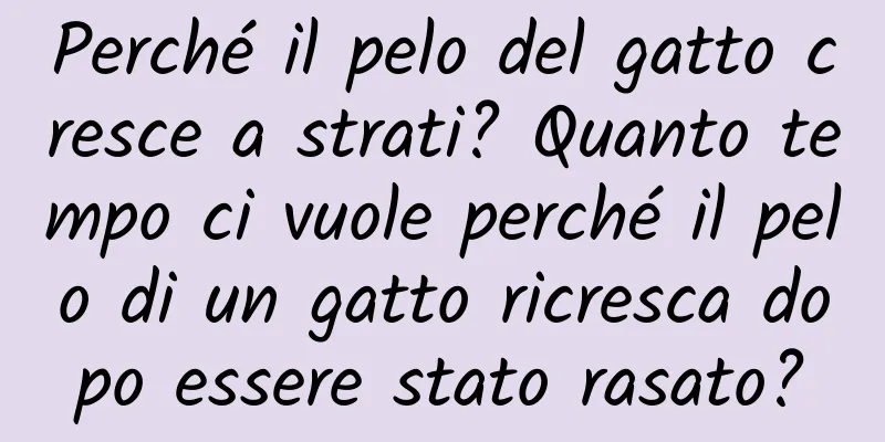 Perché il pelo del gatto cresce a strati? Quanto tempo ci vuole perché il pelo di un gatto ricresca dopo essere stato rasato?