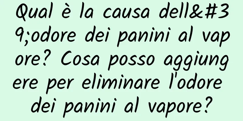 Qual è la causa dell'odore dei panini al vapore? Cosa posso aggiungere per eliminare l'odore dei panini al vapore?