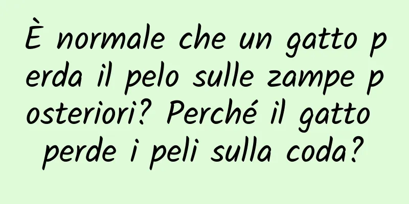 È normale che un gatto perda il pelo sulle zampe posteriori? Perché il gatto perde i peli sulla coda?