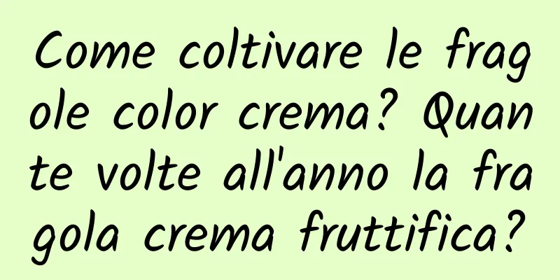 Come coltivare le fragole color crema? Quante volte all'anno la fragola crema fruttifica?