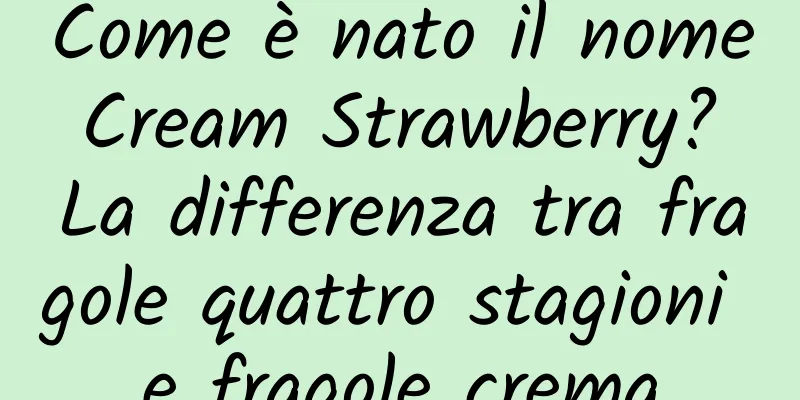 Come è nato il nome Cream Strawberry? La differenza tra fragole quattro stagioni e fragole crema
