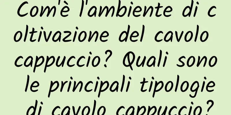 Com'è l'ambiente di coltivazione del cavolo cappuccio? Quali sono le principali tipologie di cavolo cappuccio?