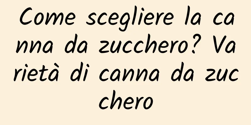 Come scegliere la canna da zucchero? Varietà di canna da zucchero