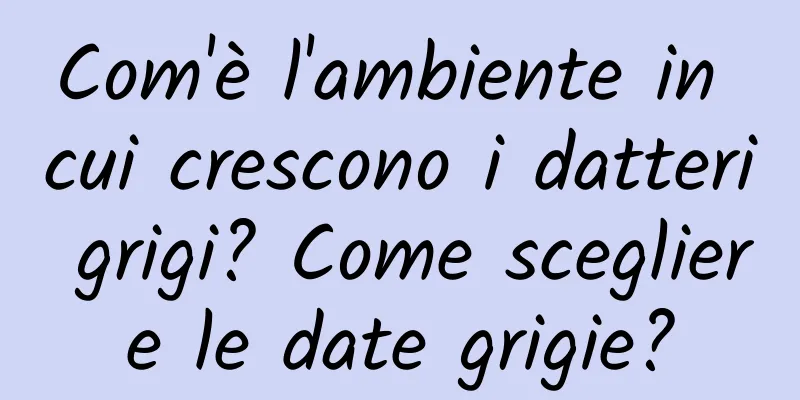 Com'è l'ambiente in cui crescono i datteri grigi? Come scegliere le date grigie?