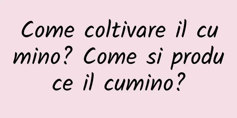 Come coltivare il cumino? Come si produce il cumino?