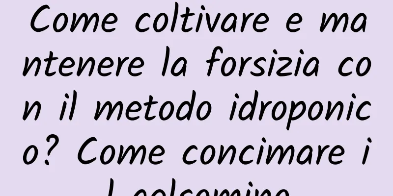 Come coltivare e mantenere la forsizia con il metodo idroponico? Come concimare il gelsomino