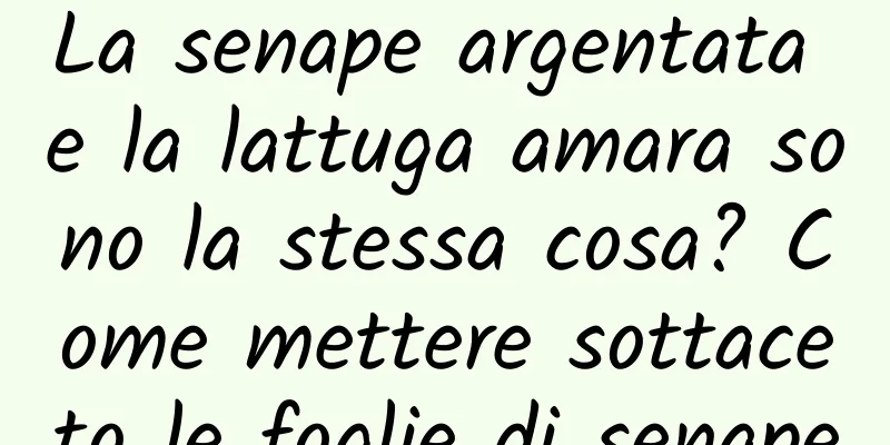 La senape argentata e la lattuga amara sono la stessa cosa? Come mettere sottaceto le foglie di senape