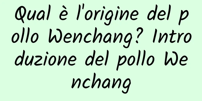 Qual è l'origine del pollo Wenchang? Introduzione del pollo Wenchang