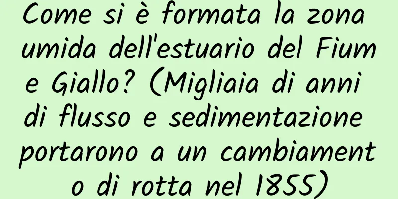 Come si è formata la zona umida dell'estuario del Fiume Giallo? (Migliaia di anni di flusso e sedimentazione portarono a un cambiamento di rotta nel 1855)