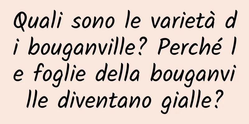 Quali sono le varietà di bouganville? Perché le foglie della bouganville diventano gialle?