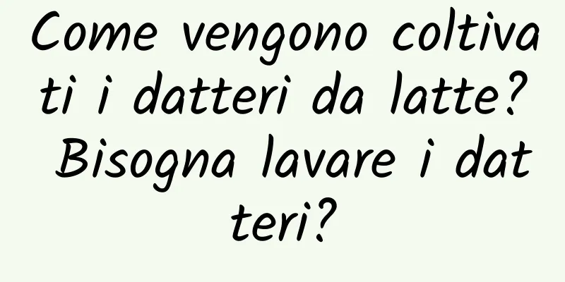 Come vengono coltivati ​​i datteri da latte? Bisogna lavare i datteri?