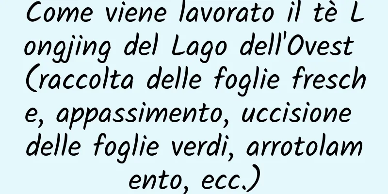 Come viene lavorato il tè Longjing del Lago dell'Ovest (raccolta delle foglie fresche, appassimento, uccisione delle foglie verdi, arrotolamento, ecc.)
