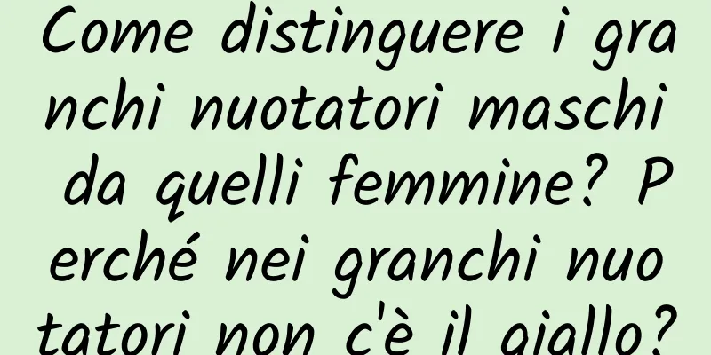 Come distinguere i granchi nuotatori maschi da quelli femmine? Perché nei granchi nuotatori non c'è il giallo?