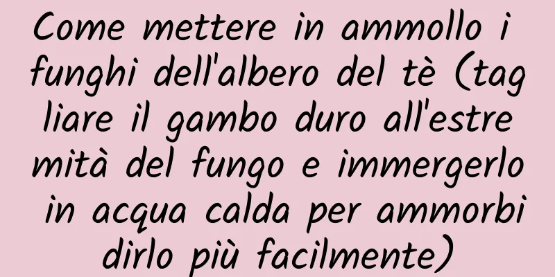 Come mettere in ammollo i funghi dell'albero del tè (tagliare il gambo duro all'estremità del fungo e immergerlo in acqua calda per ammorbidirlo più facilmente)