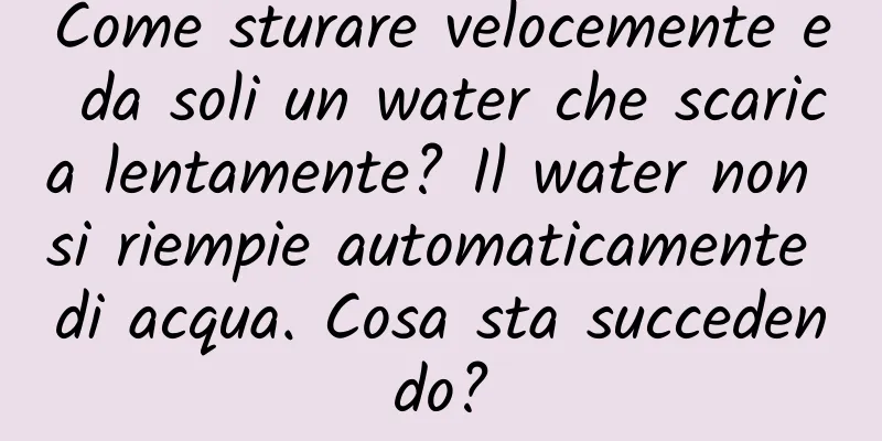 Come sturare velocemente e da soli un water che scarica lentamente? Il water non si riempie automaticamente di acqua. Cosa sta succedendo?