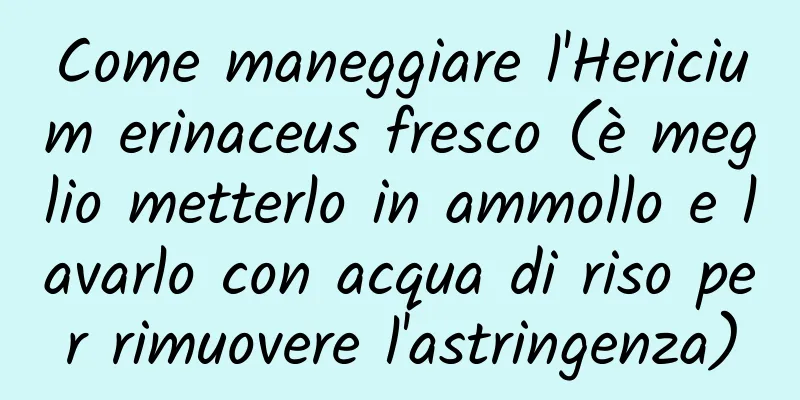 Come maneggiare l'Hericium erinaceus fresco (è meglio metterlo in ammollo e lavarlo con acqua di riso per rimuovere l'astringenza)