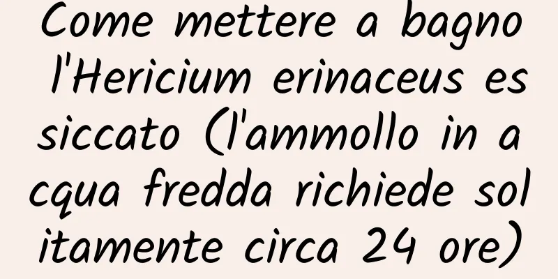 Come mettere a bagno l'Hericium erinaceus essiccato (l'ammollo in acqua fredda richiede solitamente circa 24 ore)