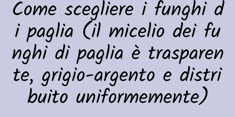 Come scegliere i funghi di paglia (il micelio dei funghi di paglia è trasparente, grigio-argento e distribuito uniformemente)