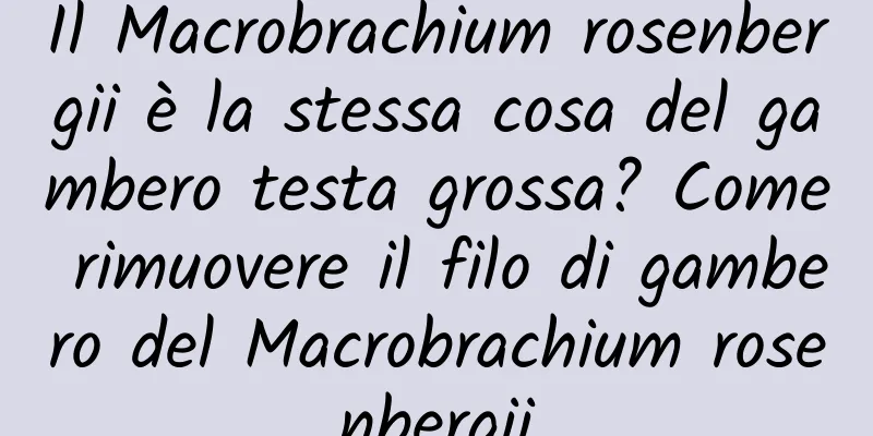 Il Macrobrachium rosenbergii è la stessa cosa del gambero testa grossa? Come rimuovere il filo di gambero del Macrobrachium rosenbergii