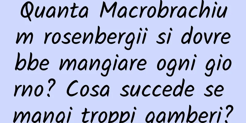 Quanta Macrobrachium rosenbergii si dovrebbe mangiare ogni giorno? Cosa succede se mangi troppi gamberi?