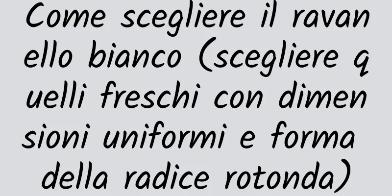 Come scegliere il ravanello bianco (scegliere quelli freschi con dimensioni uniformi e forma della radice rotonda)