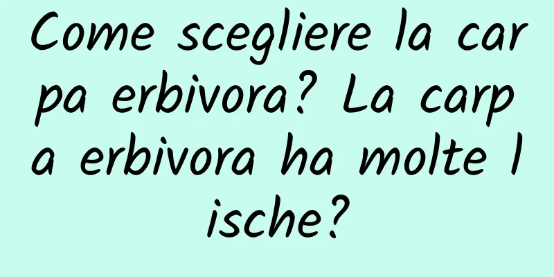 Come scegliere la carpa erbivora? La carpa erbivora ha molte lische?