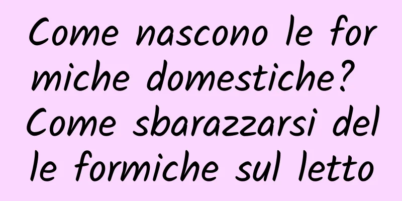 Come nascono le formiche domestiche? Come sbarazzarsi delle formiche sul letto
