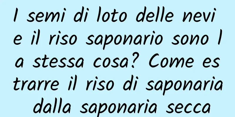 I semi di loto delle nevi e il riso saponario sono la stessa cosa? Come estrarre il riso di saponaria dalla saponaria secca