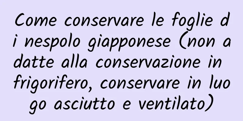 Come conservare le foglie di nespolo giapponese (non adatte alla conservazione in frigorifero, conservare in luogo asciutto e ventilato)