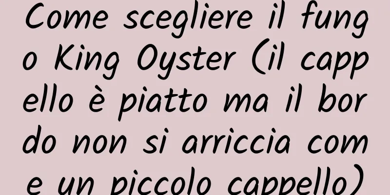 Come scegliere il fungo King Oyster (il cappello è piatto ma il bordo non si arriccia come un piccolo cappello)