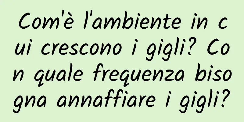 Com'è l'ambiente in cui crescono i gigli? Con quale frequenza bisogna annaffiare i gigli?
