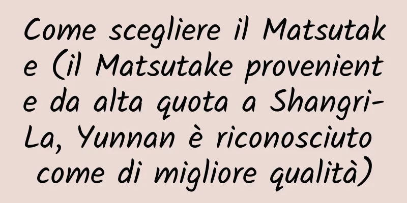 Come scegliere il Matsutake (il Matsutake proveniente da alta quota a Shangri-La, Yunnan è riconosciuto come di migliore qualità)