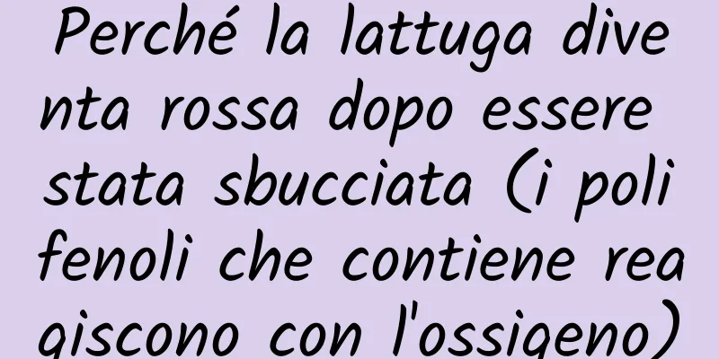 Perché la lattuga diventa rossa dopo essere stata sbucciata (i polifenoli che contiene reagiscono con l'ossigeno)