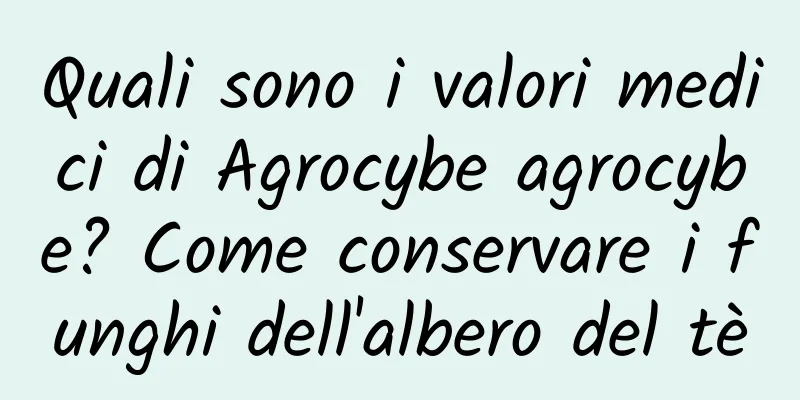 Quali sono i valori medici di Agrocybe agrocybe? Come conservare i funghi dell'albero del tè