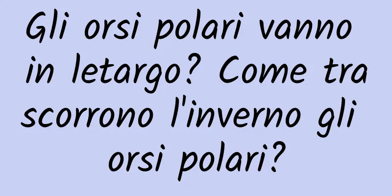 Gli orsi polari vanno in letargo? Come trascorrono l'inverno gli orsi polari?