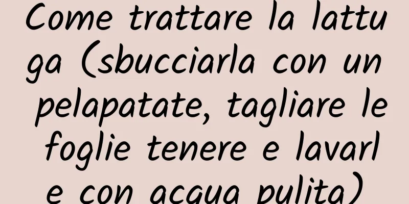Come trattare la lattuga (sbucciarla con un pelapatate, tagliare le foglie tenere e lavarle con acqua pulita)