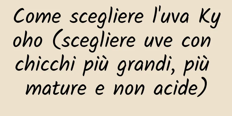 Come scegliere l'uva Kyoho (scegliere uve con chicchi più grandi, più mature e non acide)