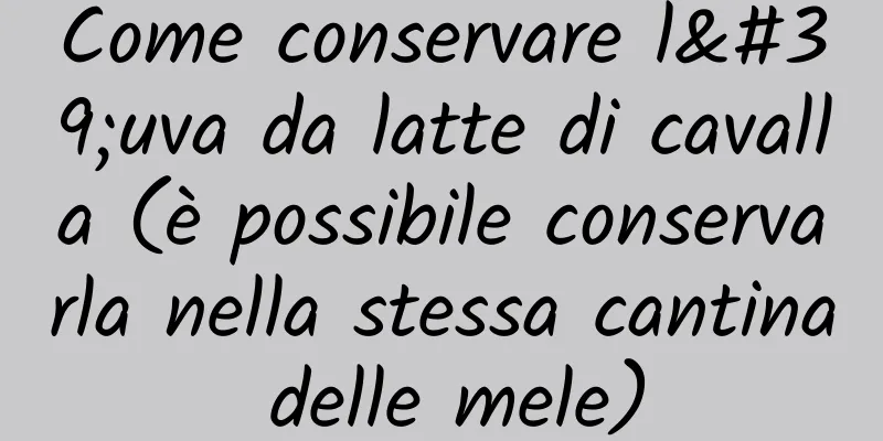 Come conservare l'uva da latte di cavalla (è possibile conservarla nella stessa cantina delle mele)