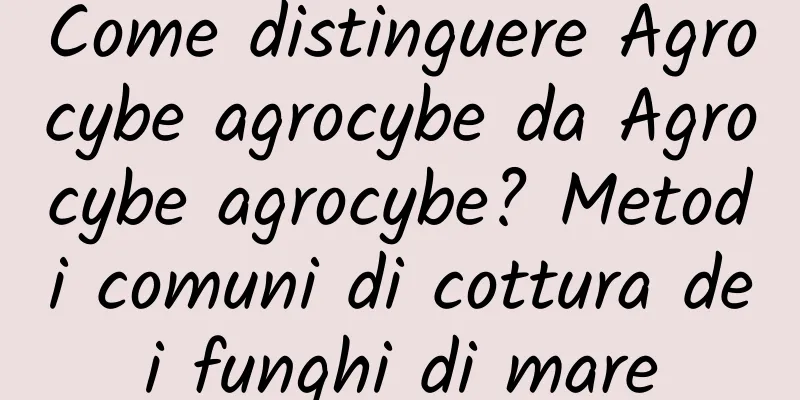 Come distinguere Agrocybe agrocybe da Agrocybe agrocybe? Metodi comuni di cottura dei funghi di mare