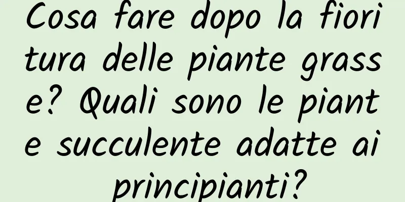 Cosa fare dopo la fioritura delle piante grasse? Quali sono le piante succulente adatte ai principianti?