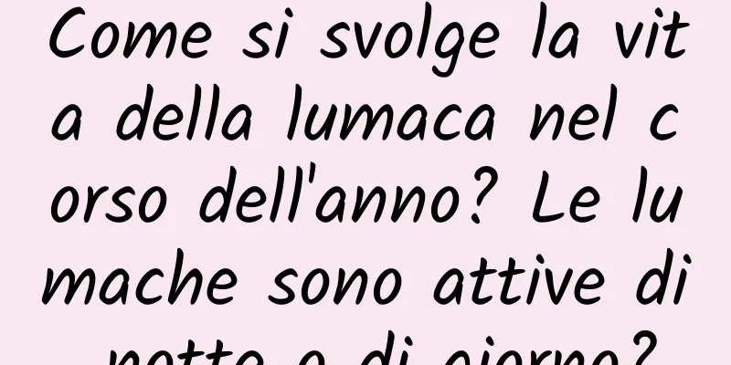 Come si svolge la vita della lumaca nel corso dell'anno? Le lumache sono attive di notte o di giorno?