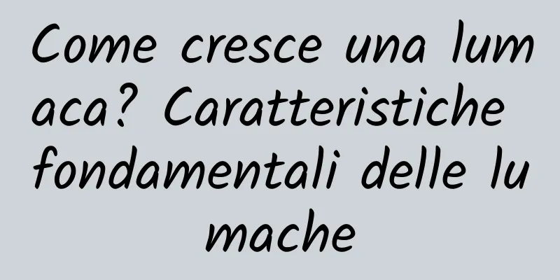 Come cresce una lumaca? Caratteristiche fondamentali delle lumache