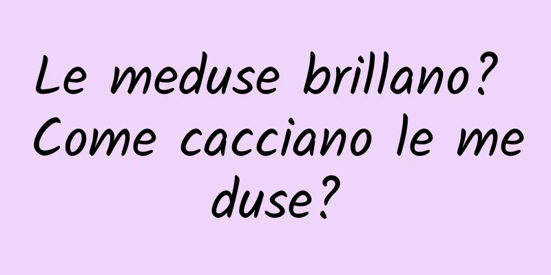 Le meduse brillano? Come cacciano le meduse?