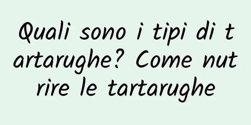 Quali sono i tipi di tartarughe? Come nutrire le tartarughe