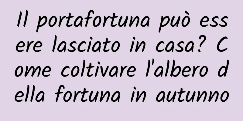 Il portafortuna può essere lasciato in casa? Come coltivare l'albero della fortuna in autunno