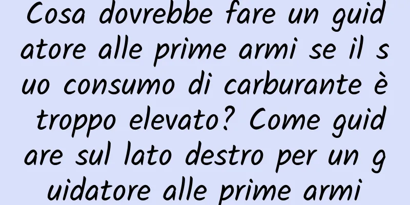 Cosa dovrebbe fare un guidatore alle prime armi se il suo consumo di carburante è troppo elevato? Come guidare sul lato destro per un guidatore alle prime armi