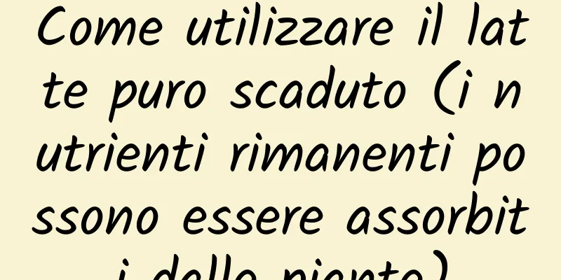Come utilizzare il latte puro scaduto (i nutrienti rimanenti possono essere assorbiti dalle piante)